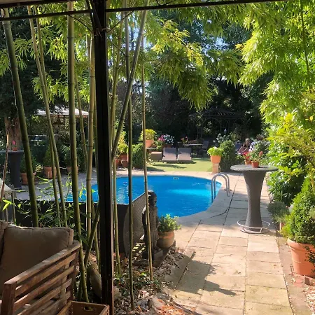 Ashley's Garden