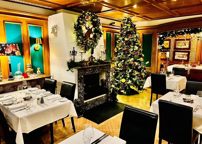 埃什里花园酒店 4*